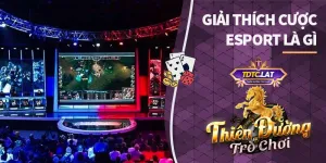 giải thích cược esport tdtc thiên đường trò chơi